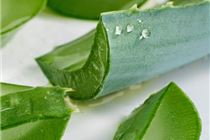 Đắp mặt nạ tự nhiên nha đam