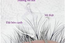 Chia Sẻ một chút về cách đặt mi nối - Nối Mi Đẹp tít Mi 1