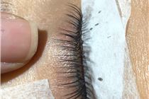 Chia Sẻ Cách Nối Mi Bắc Cầu Sợi Tóc Qua Chân Mi