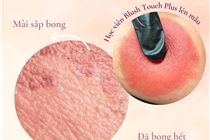 Phun hồng nhũ hoa ở đâu rẻ và đẹp tại Hà Nội?