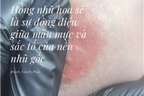 Phun Xăm Hồng Nhũ Hoa có đau không? Phun Xăm Hồng Nhũ Hoa có đau không?