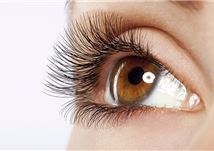 Dạng ngời với bộ mi nối tại Tít Mi