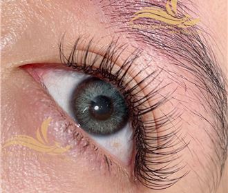 Nối mi baby doll cho mắt to tròn tại Tít Mi Hà Nội