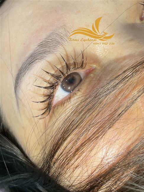 Anime phiên bẩn mi nâu