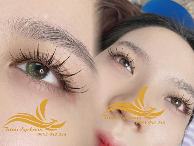 Mi katur cũng rất được yêu thích với những điểm nhấn nhỏ trên mắt