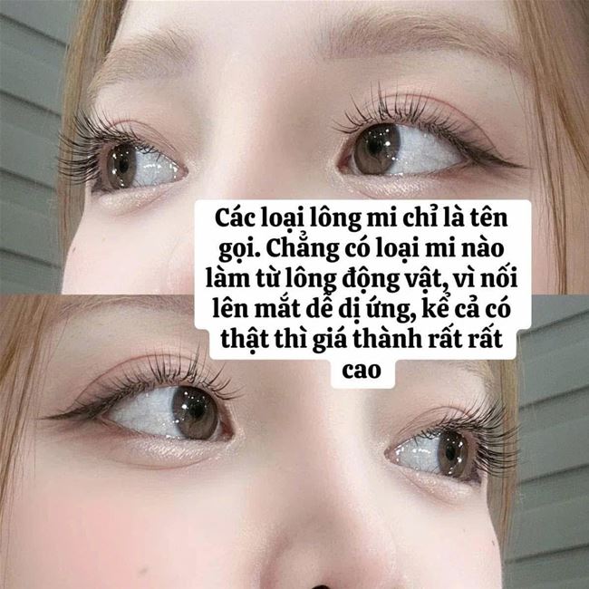 Các loại lông mi chỉ là tên gọi chẳng có lông mi nào từ lông động vật cả