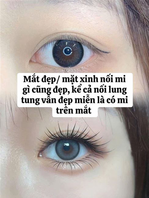 Mắt đẹp mặt xinh nối mi gì cũng đẹp, kể cả nối lung tung cũng đẹp, miễn là có mi trên mắt