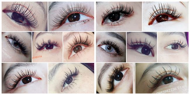 Các Kiểu Mi trong công nghệ nối mi Nga, Thái, hàn, Đài