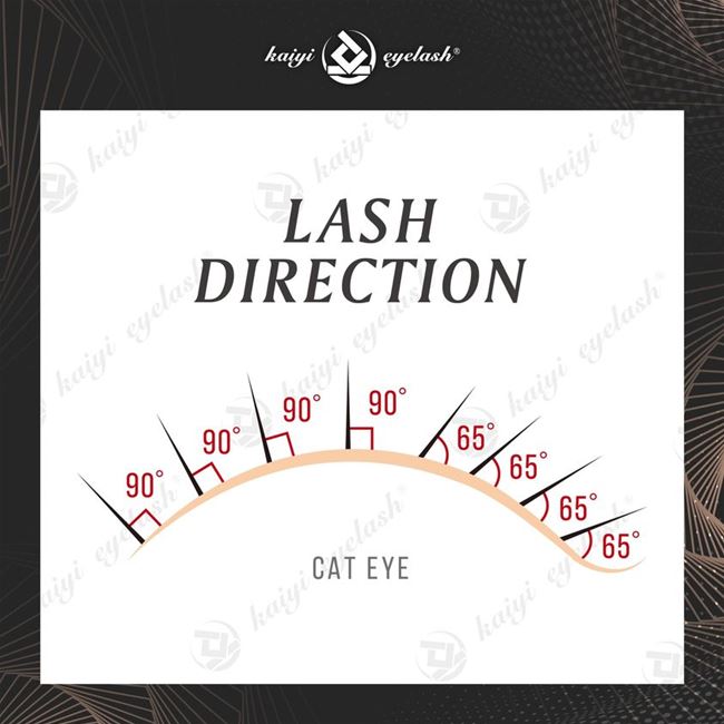 hướng đặt mi trong nối mi