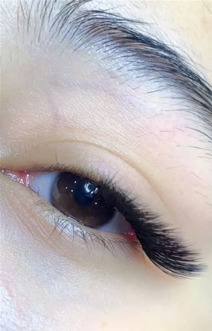 nối Mi eyeliner  nối Mi eyeliner