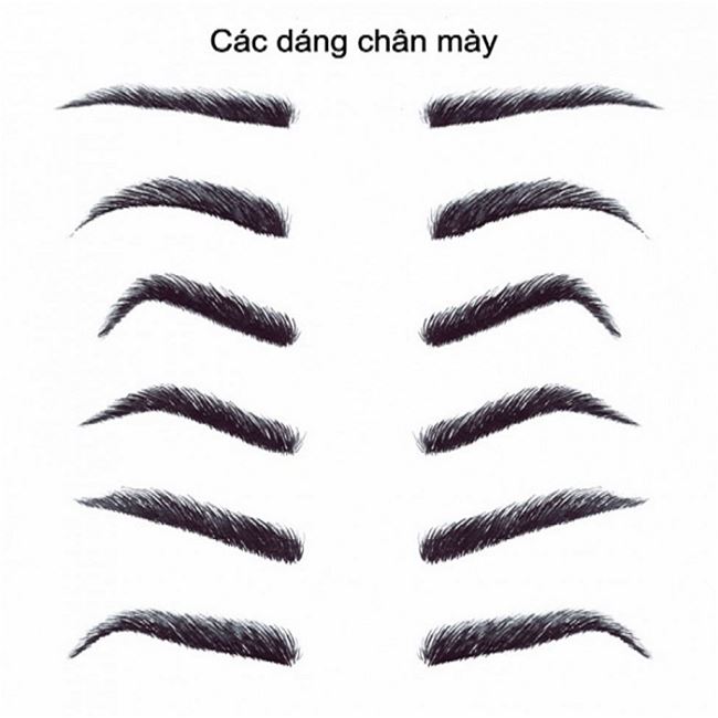 cấc dáng chân mày tổng hợp trong phun xăm cấc dáng chân mày tổng hợp trong phun xăm