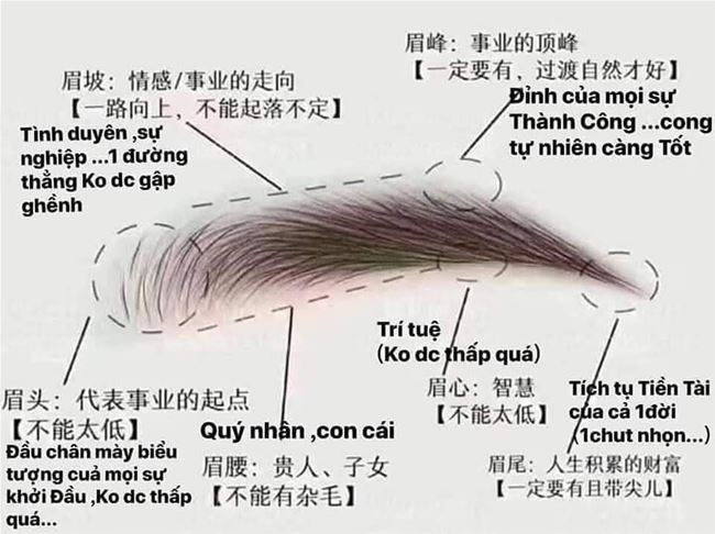 dáng chân mày tài lộc trong phun xăm thẩm mỹ dáng chân mày tài lộc trong phun xăm thẩm mỹ