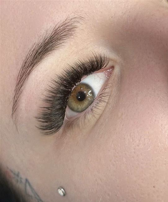 Mi volume rất được ưa chuộng tại thị trường Châu Âu