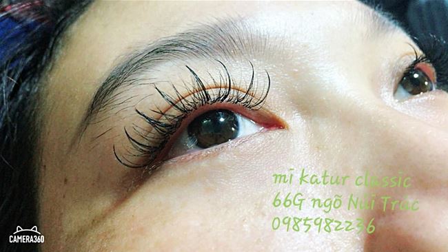 mi katur rự nhiên classic mi katur rự nhiên classic