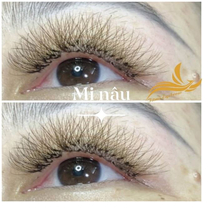 nối mi nâu siêu hot tại Tít Mi nối mi nâu siêu hot tại Tít Mi