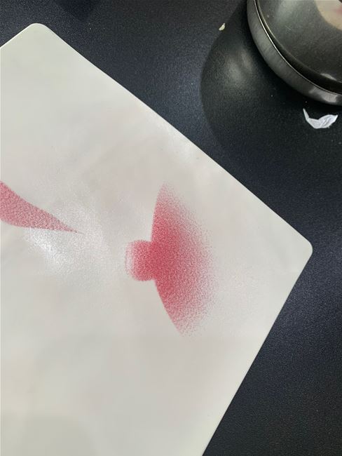 cách phun nhũ hoa trên da giả