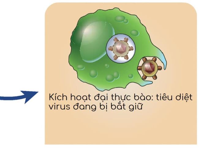 kiến thức phun xăm trên cơ thể kiến thức phun xăm trên cơ thể
