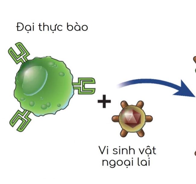 kiến thức phun xăm trên cơ thể