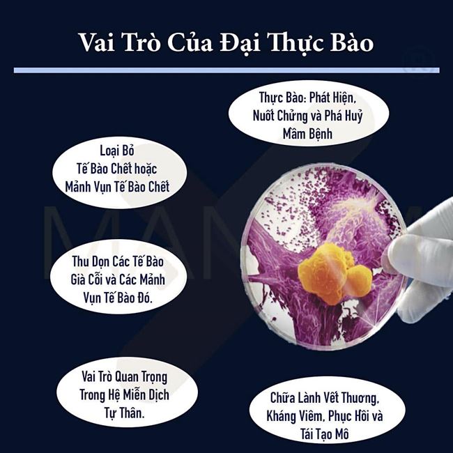 kiến thức phun xăm trên cơ thể