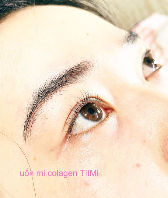 uốn mi colagne tại Tít Mi